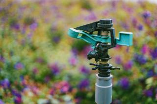 Top 15 des innovations pour le jardin en 2022